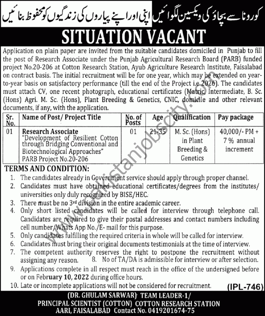 Ayub Agriculture Research Institute Faisalabad Jobs 23 January 2022 Nawaiwaqt