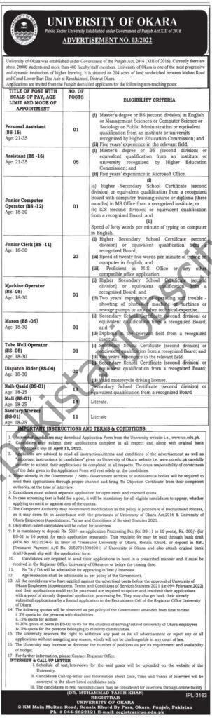 University Of Okara Jobs 24 March 2022 Express Tribune 03