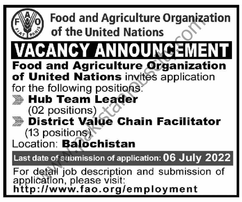 Food & Agriculture Organization of the United Nations FAO Jobs 26 June 2022 Dawn 1