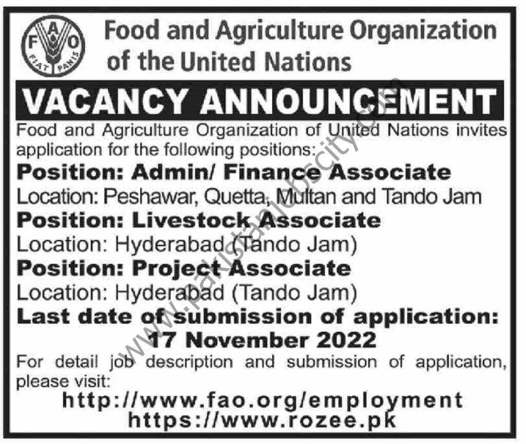 Food & Agriculture Organization FAO Jobs 06 November 2022 Dawn 1