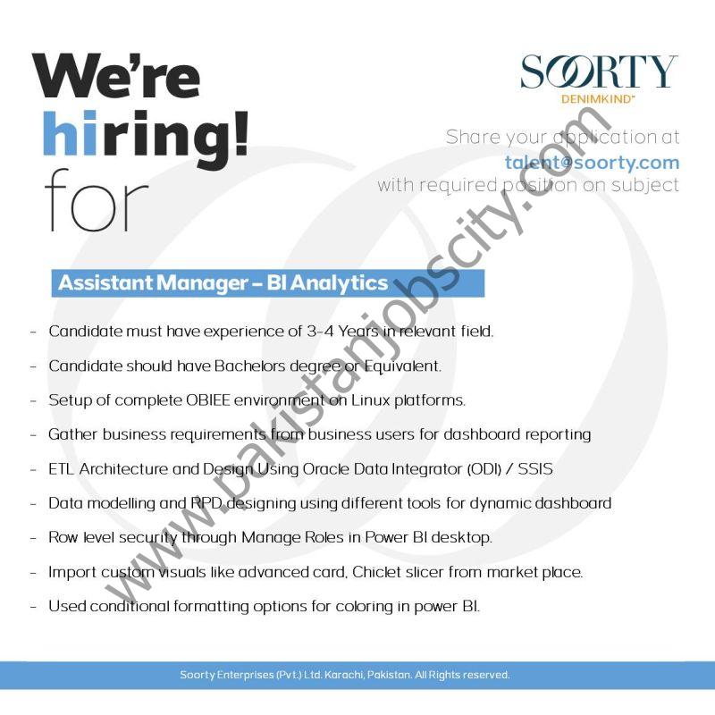 Soorty Enterprises Pvt Ltd Jobs Assistant Manager BI Analytics 1