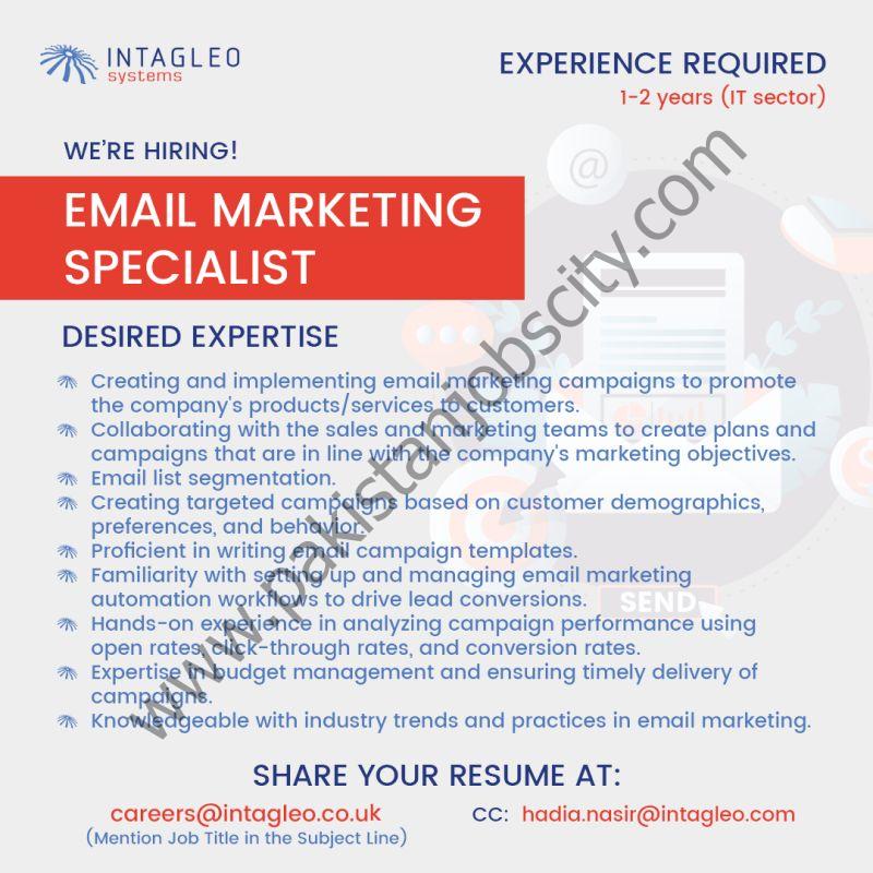 Intagleo Systems Jobs Email Marketing Specialist 1