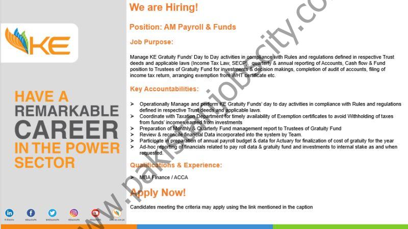 K-Electric Pvt Ltd Jobs AM Payroll & Funds 1