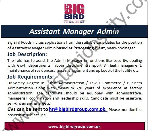 Bigbird Group Jobs Assistant Manager Admin 1