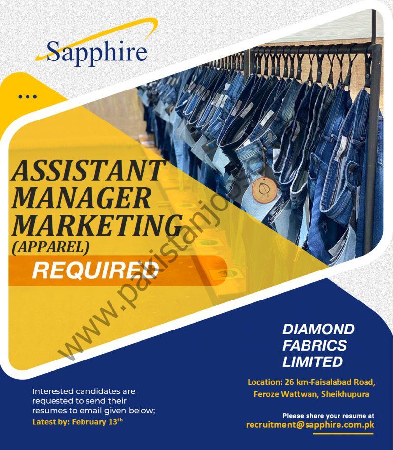 Diamond Fabrics Limited Jobs Assistant Manager Marketing 1