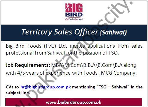 Bigbird Group Jobs Territory Sales Officer 1
