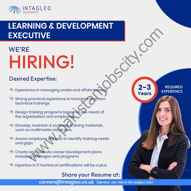 Intagleo Systems Jobs Learning & Development Executive  1