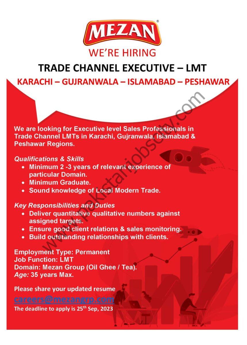 Mezan Group Jobs Trade Channel Executive 1