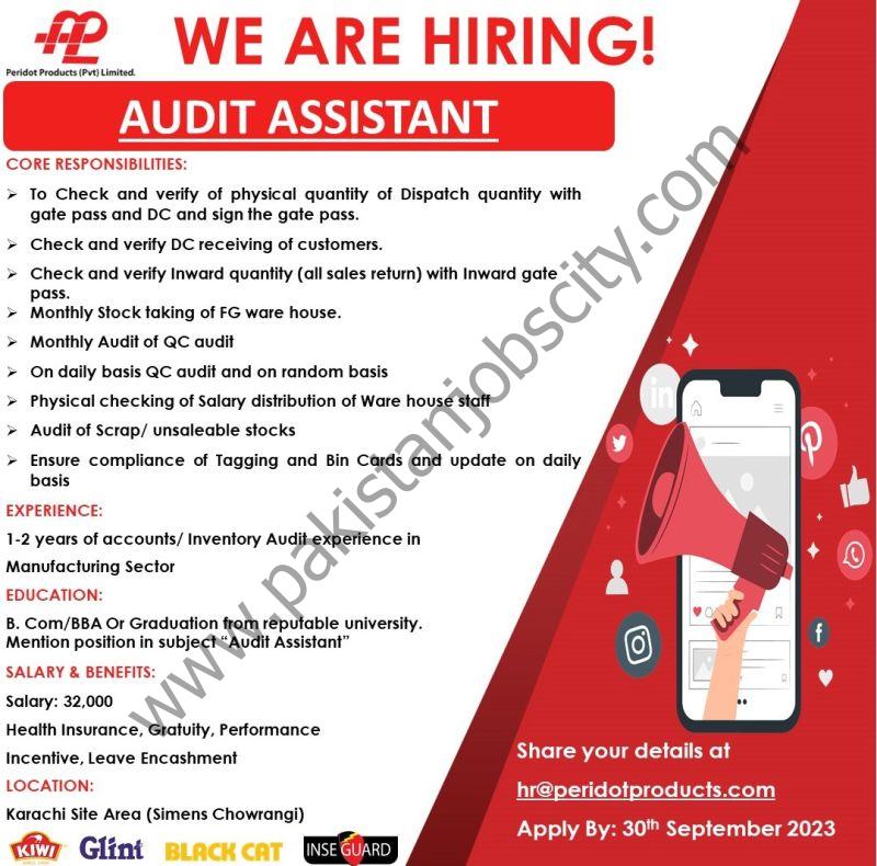 Peridot Products Pvt Ltd Jobs Audit Assistant 1