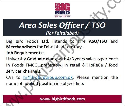 Bigbird Group Jobs Area Sales Officer / TSO  1