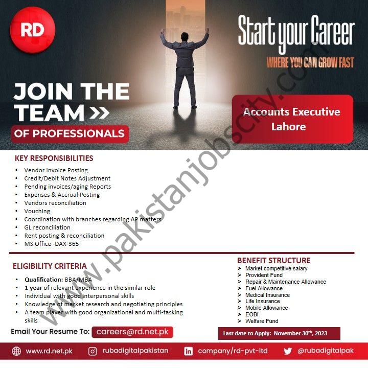 RD Ruba Digital Pvt Ltd Jobs Accounts Executive 1
