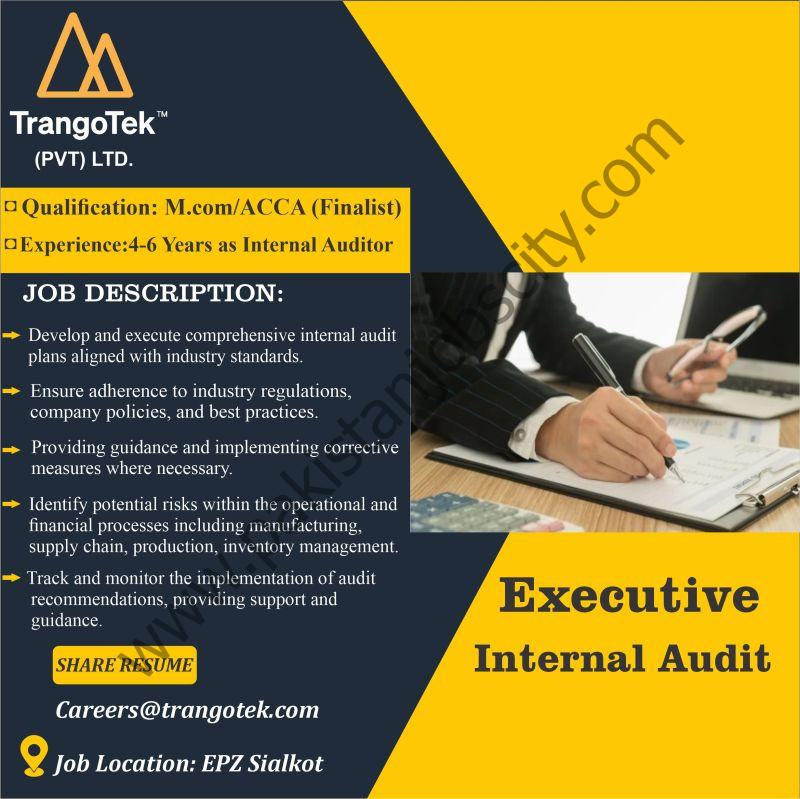 TrangoTek Pvt Ltd Jobs Executive Internal Audit 1