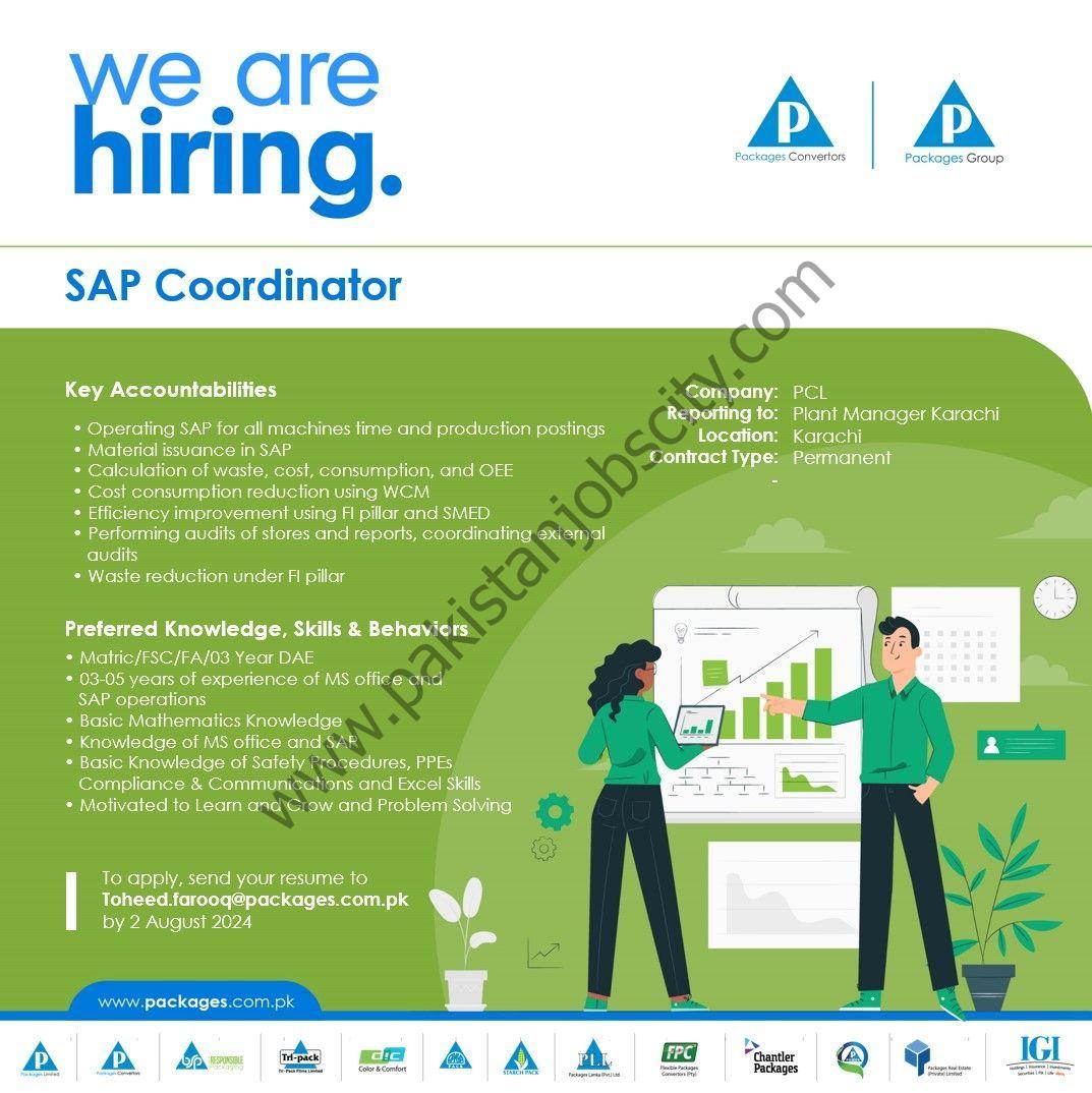 Packages Group Jobs SAP Coordinator 1