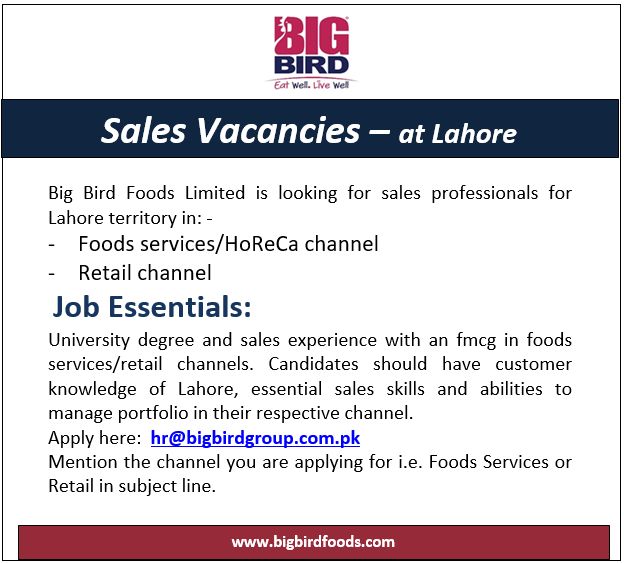 Bigbird Group Jobs Sales Professionals 1