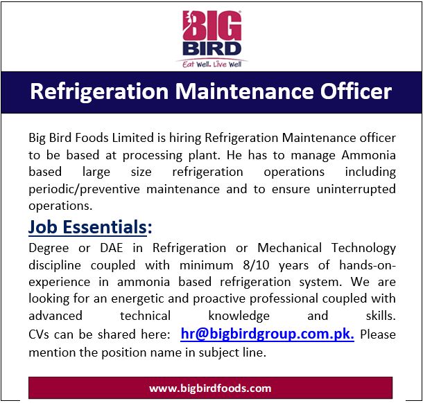 Big Bird Group Jobs 17 February 2025 1