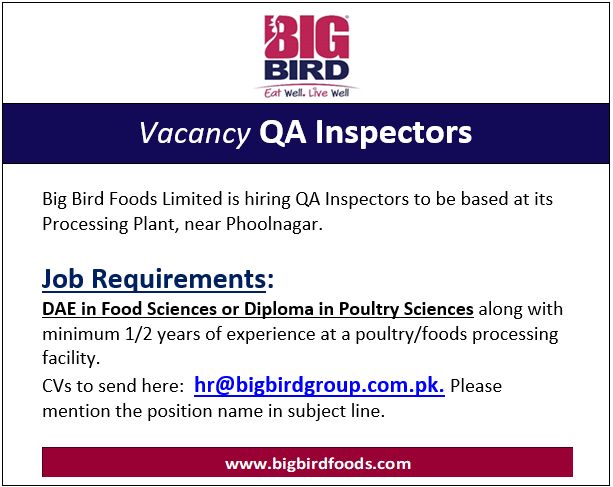 Bigbird Group Jobs QA Inspectors 1