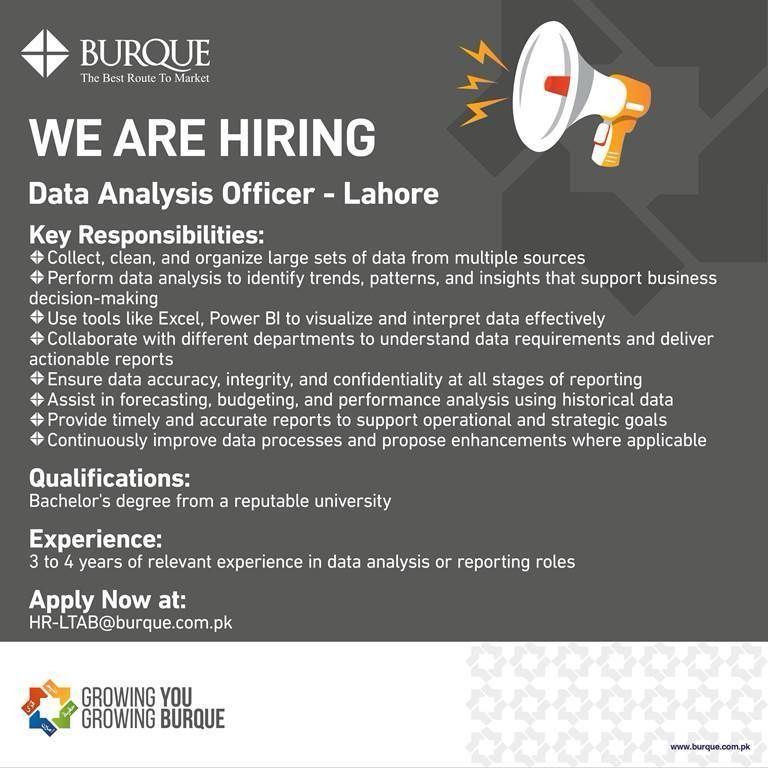 Burque Corporation Limited Jobs Data Analysis Officer 1