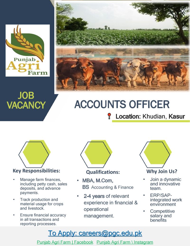 Punjab Agri Farm Jobs Accounts Officer 1
