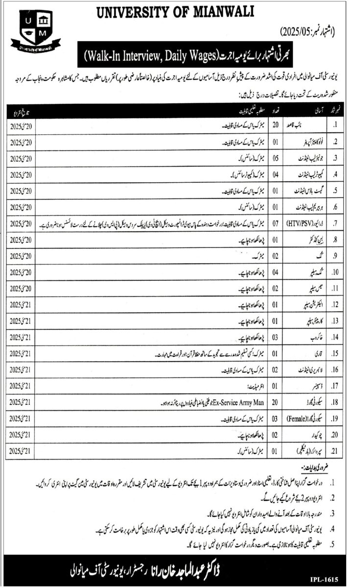 University of Mianwali Jobs May 2025 1