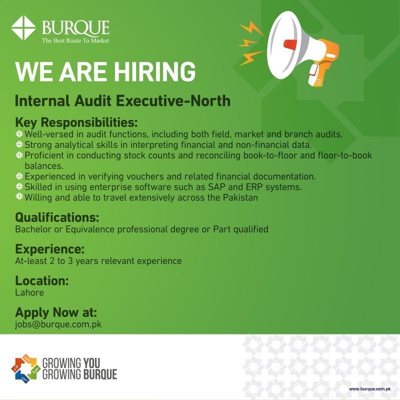 Burque Corporation Limited Jobs Internal Audit Executive 1