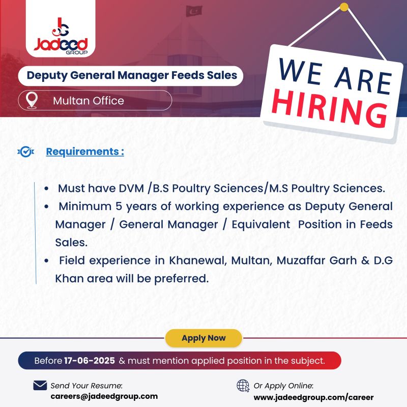 Jadeed Group Of Companies Jobs June 2025 1