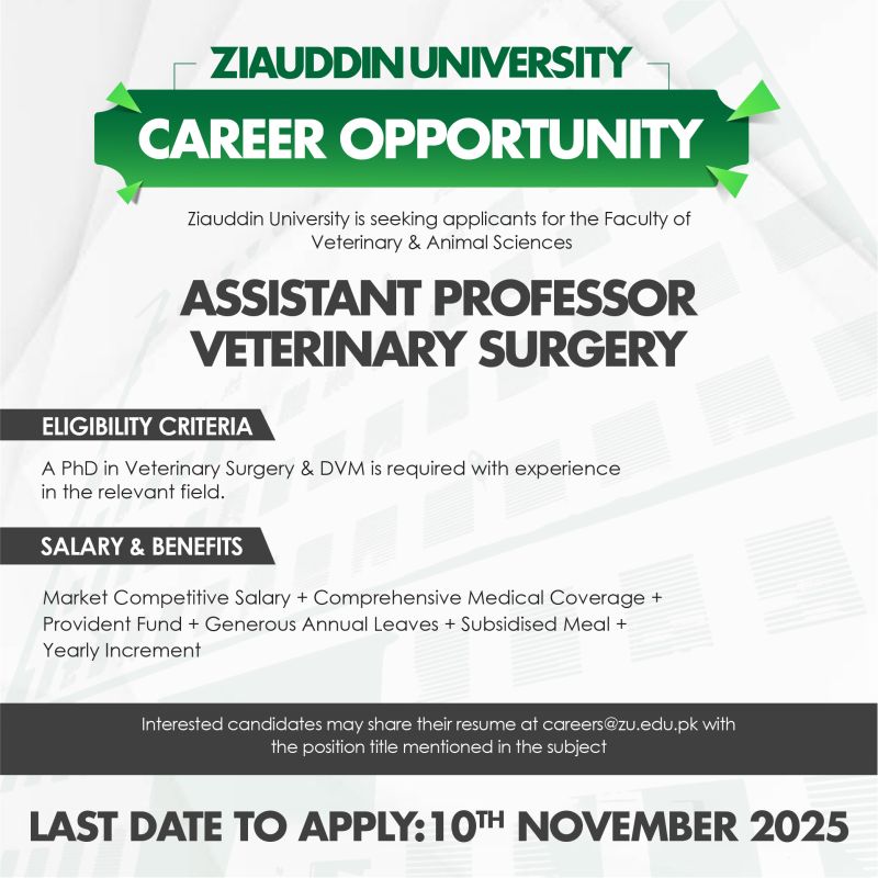 Ziauddin University Jobs Assistant Professor Veterinary Surgery 1