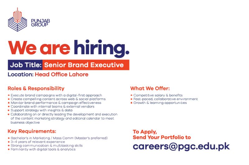 Punjab Group Jobs Senior Brand Executive 1