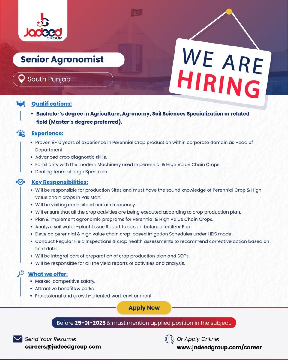 Jadeed Group Jobs 20 January 2026 1