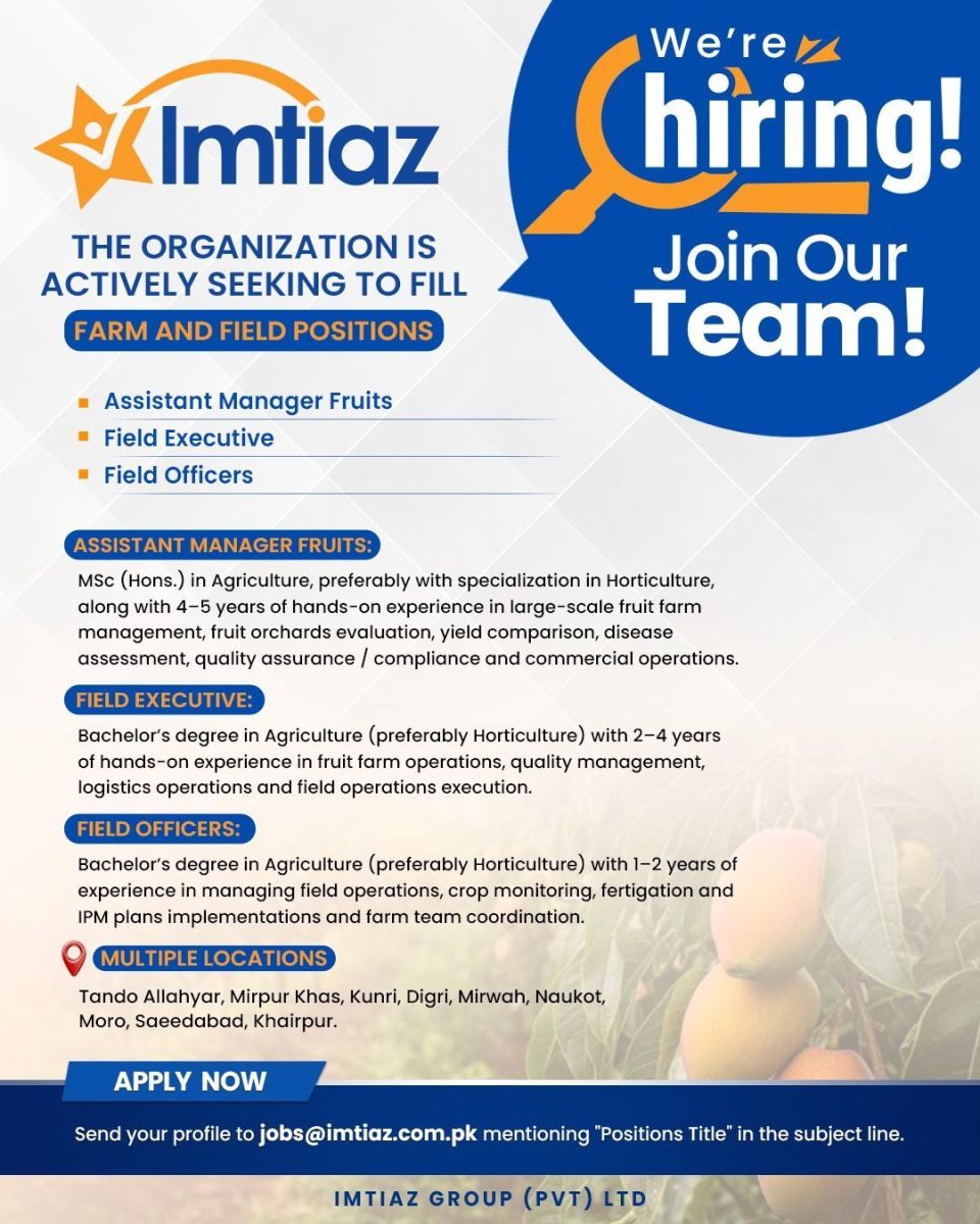 Imtiaz Group Jobs April 2026 1