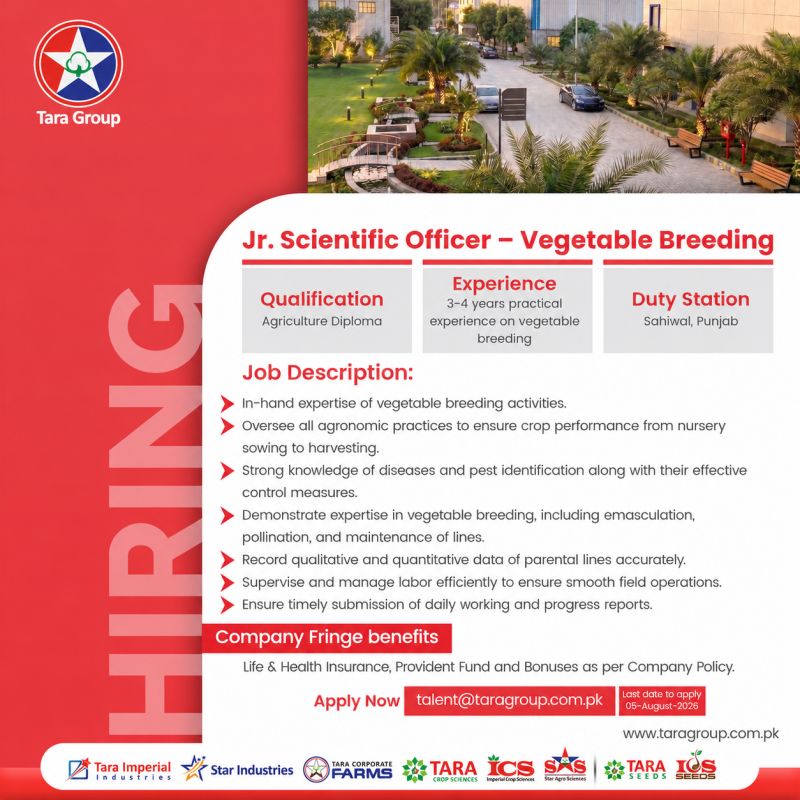 Tara Group Inc Jobs Junior Scientific Officer Vegetable Breeding 1