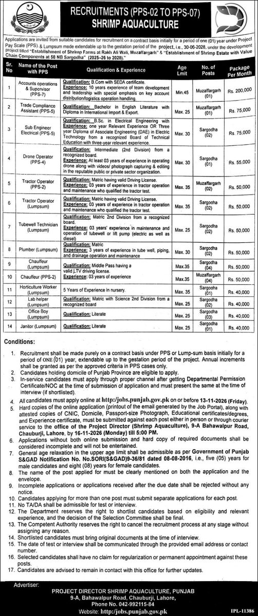 Shrimp Aquaculture Punjab Jobs 28 October 2026 Express 1