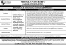 Sohail University Jobs October 2026